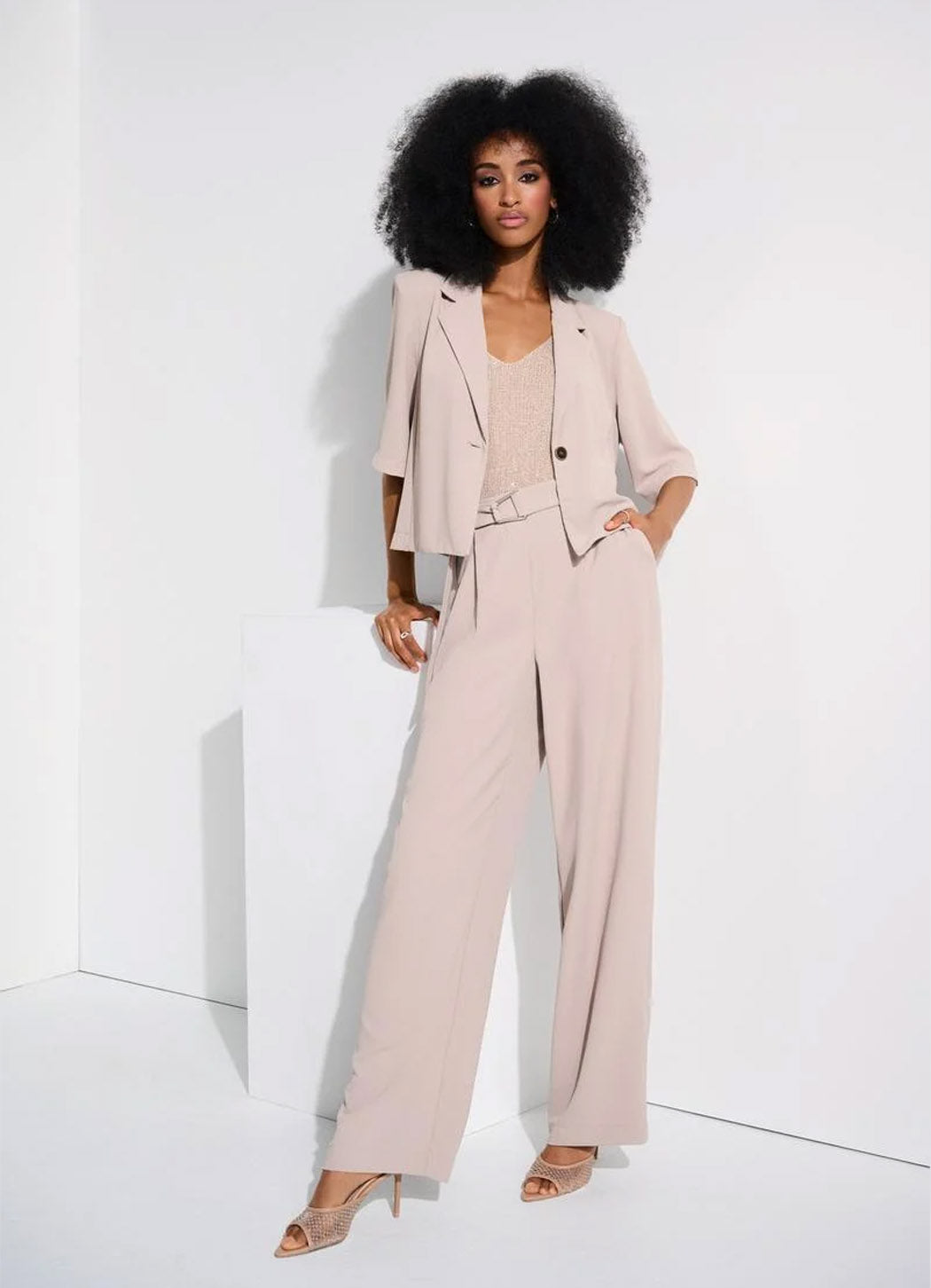 Joseph Ribkoff Wide-Leg Pull-On Pant with Belt