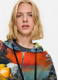 Desigual Printed Cotton Sweatshirt