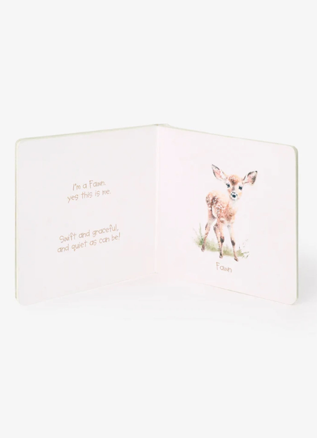 Elegant Baby Little Wonders Board Book
