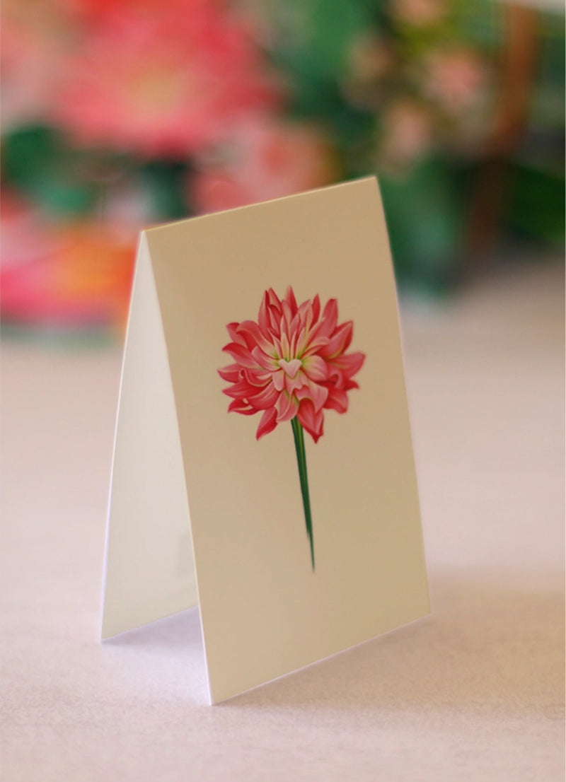 FreshCut Paper Dear Dahlia Pop-up Greeting Cards