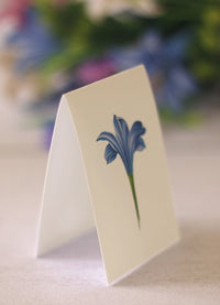 FreshCut Paper Lillies & Lupines Pop-up Greeting Cards