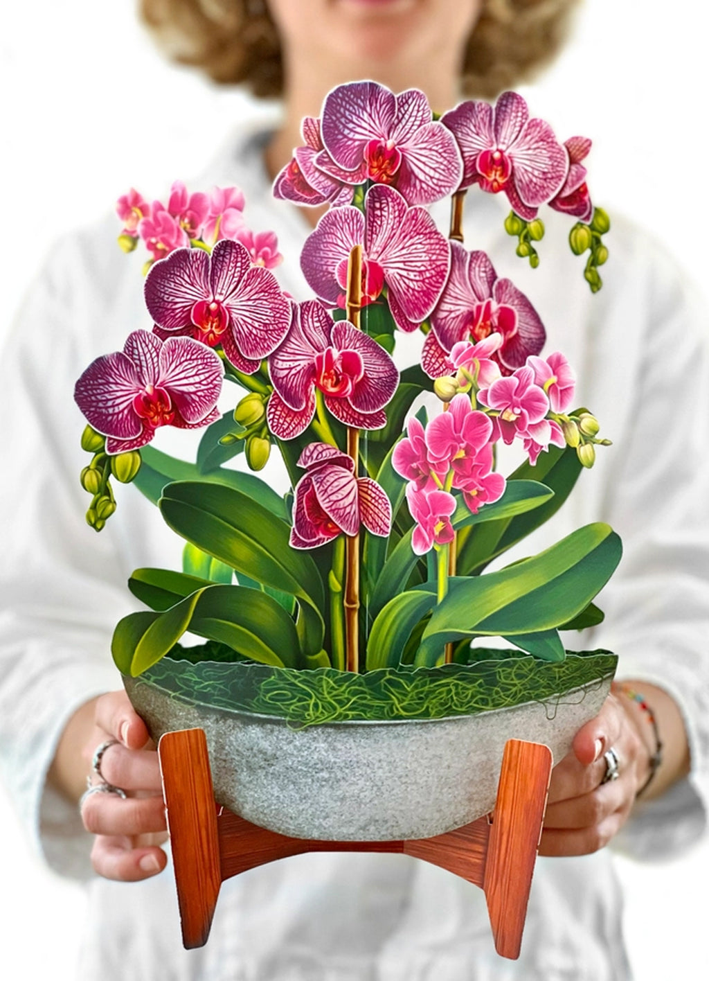 FreshCut Paper Orchid Oasis pop-up Greeting Cards