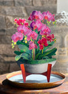 FreshCut Paper Orchid Oasis pop-up Greeting Cards