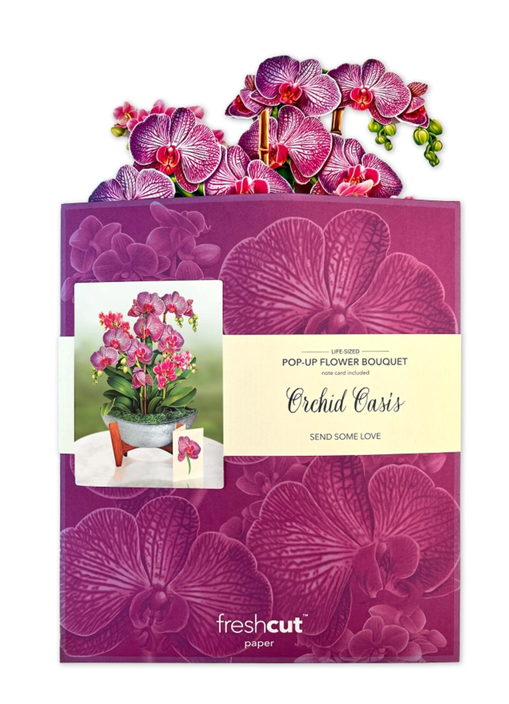 FreshCut Paper Orchid Oasis pop-up Greeting Cards
