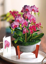 FreshCut Paper Orchid Oasis pop-up Greeting Cards