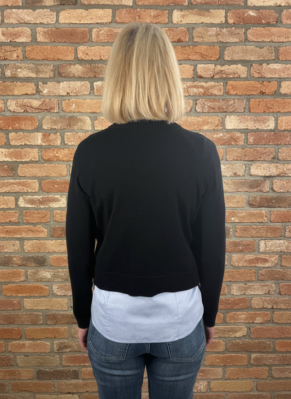 Alashan Cashmere Merino Dana Shrunken Crew