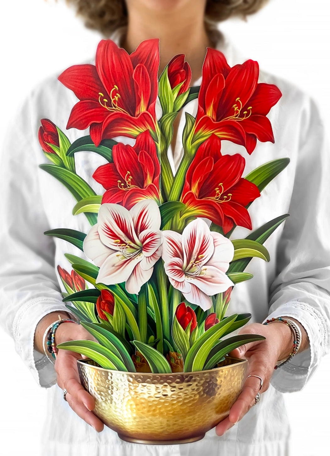 FreshCut Paper Scarlet Amaryllis Pop-up Greeting Cards