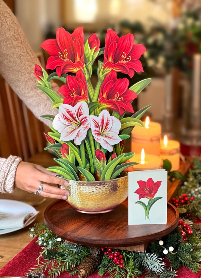 FreshCut Paper Scarlet Amaryllis Pop-up Greeting Cards
