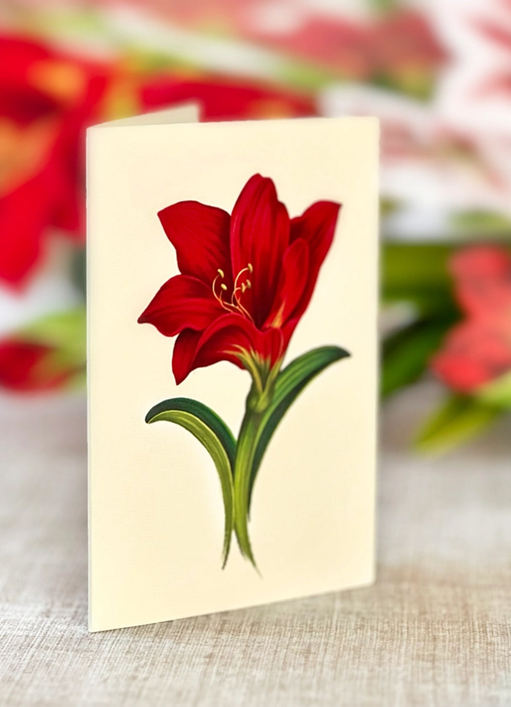 FreshCut Paper Scarlet Amaryllis Pop-up Greeting Cards