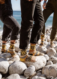 Solmate Socks Crew Honey Bee