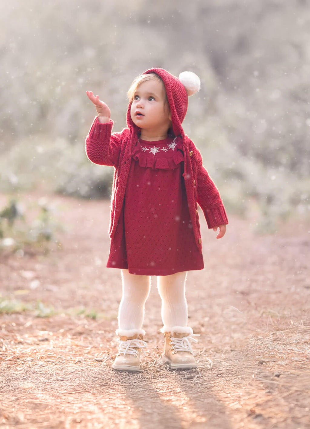 Elegant Baby Snowflake Pointelle Dress With Bloomer Set – Details Direct