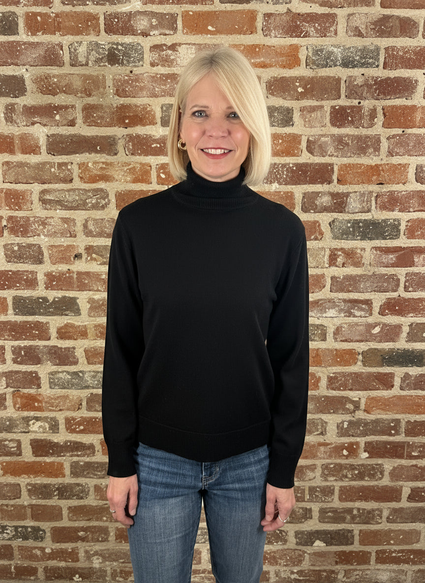 Alashan Cashmere Merino Alice Basic Turtleneck
