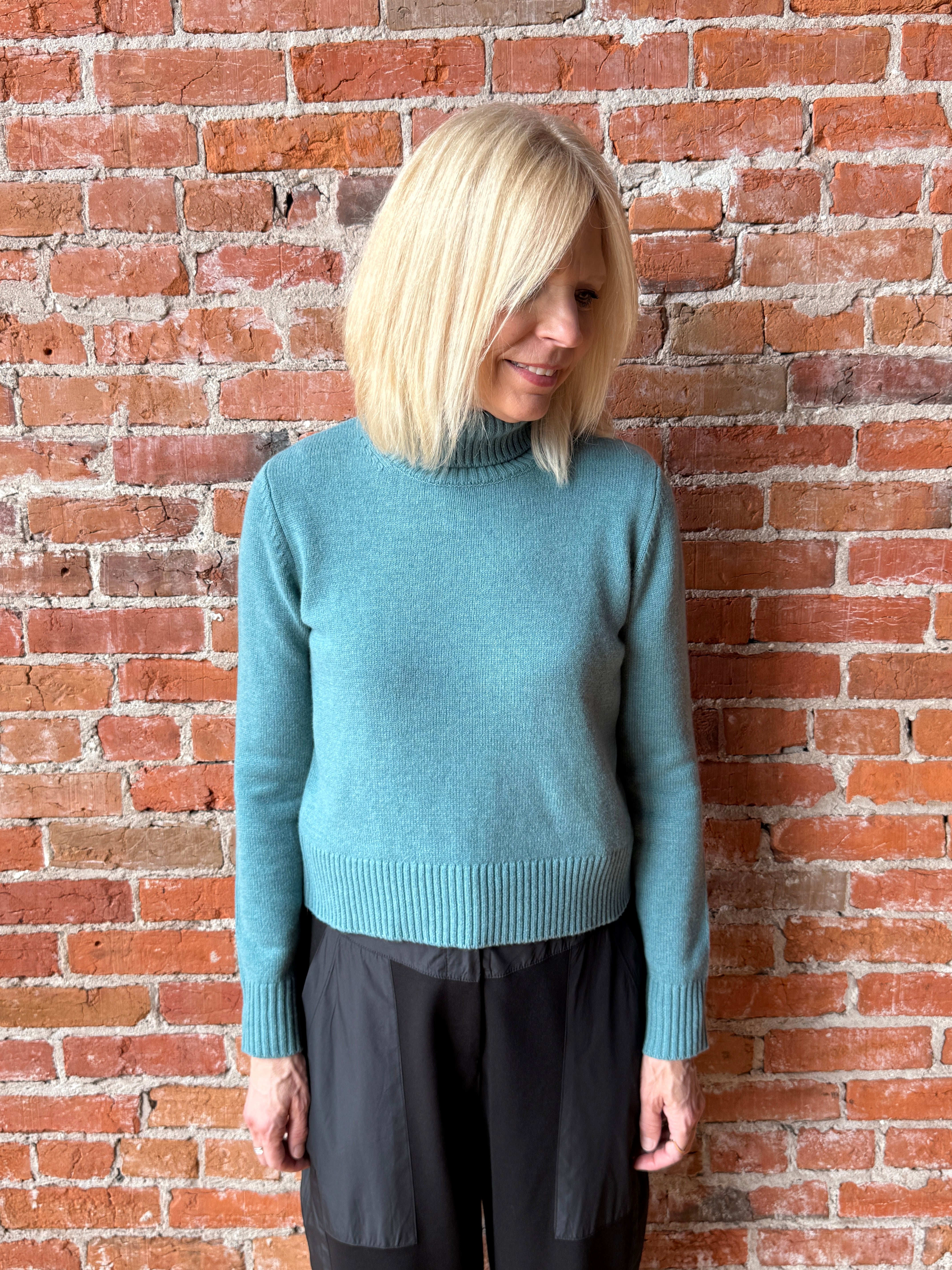 トップス Ex.Alashan cashmere Knit - mid turtle Alashan Cashmere Merino Eden Turtle Neck – Details Direct