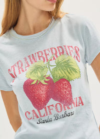 Free People Nova Strawberry Tee Graphic