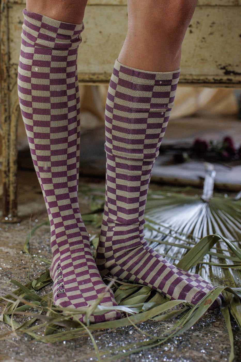 Magnolia Pearl Checkered OTK Socks