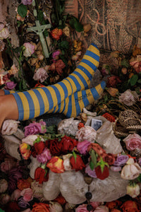 Magnolia Pearl Stripe OTK Socks
