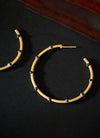 Freida Rothman Signature Thin Bezel Station Hoops